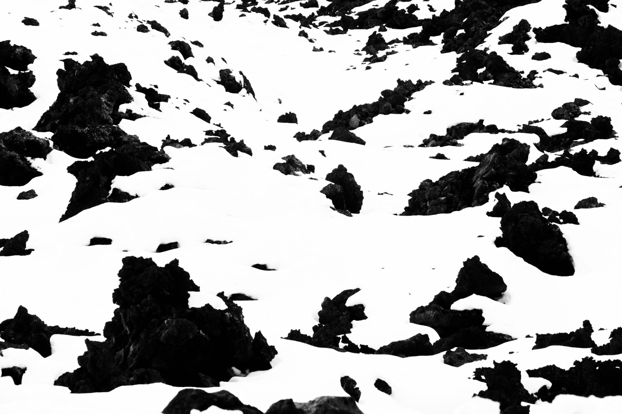 _A8A4064