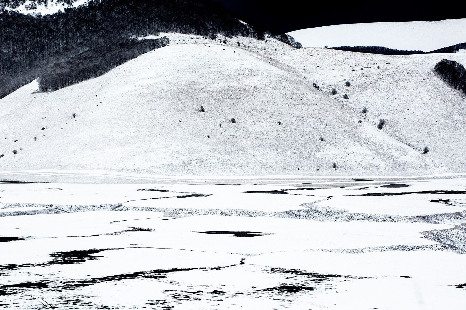 Colline innevate con boschi scuri e chiazze di terra nella piana di Castelluccio
