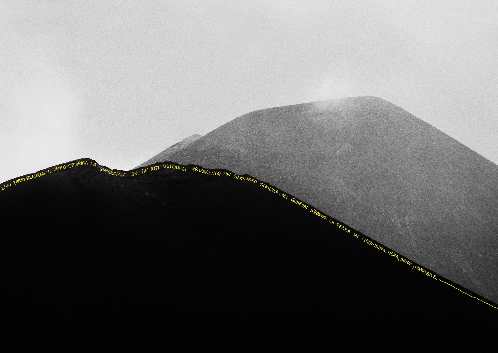 LCM_810-web