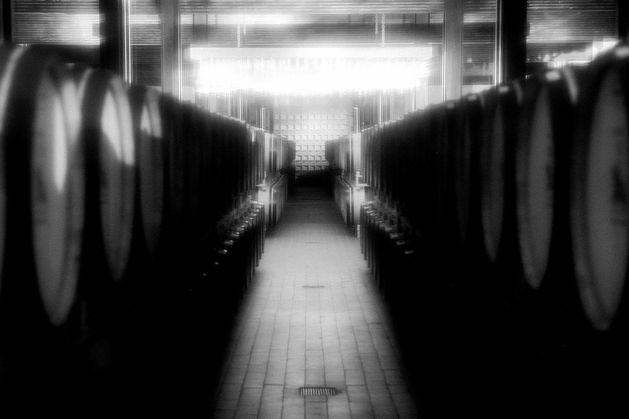 Corridoio tra le botti di una cantina, con una luce intensa in fondo