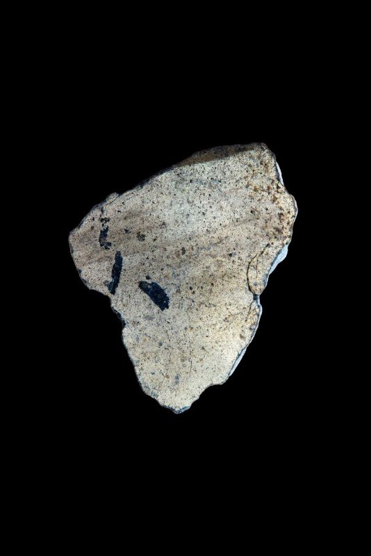 Frammento di pietra chiara e porosa con piccole macchie scure su fondo nero